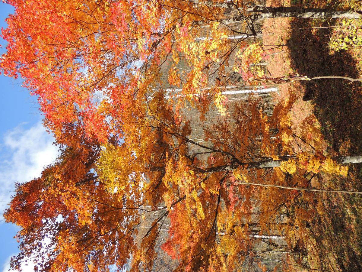 Nakao Kogen Hotel Kazaguruma ทาคายาม่า ภายนอก รูปภาพ